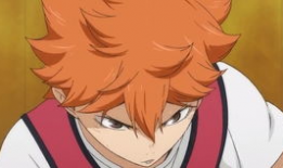 娱乐圈吃瓜的猹小说,瓜田里的明星秘闻